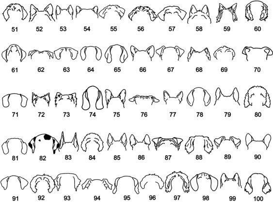 Personalized Dog Ear Ornament - Olive and Ember Co.