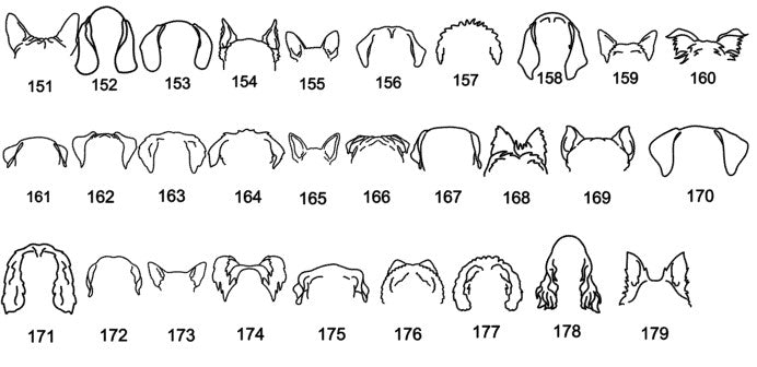 Personalized Dog Ear Ornament - Olive and Ember Co.